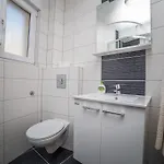 Olive Apartment